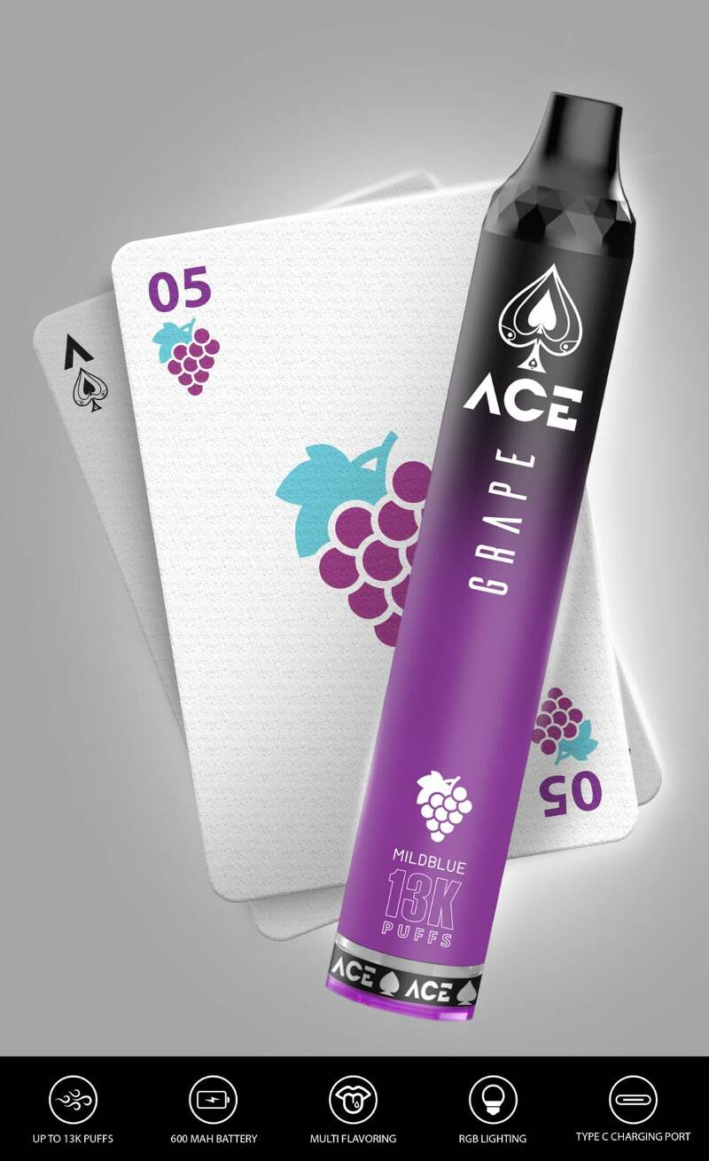 ACE 13K